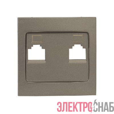 Панель лицевая Валенсия для розетки 2-м RJ-45 кашемир PROxima EKF ESK02-L-035-40