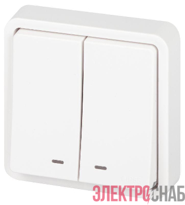 Выключатель Эксперт 11-1525-01 двойн. с подсветкой IP55 10АХ-250В СУ бел. Эра Б0063304