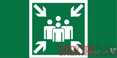 Знак безопасности BL-3015.E21 "Пункт (место) сбора" Белый свет a19433