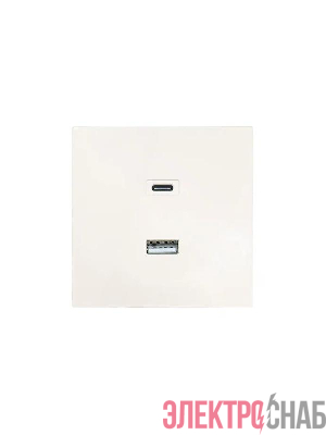 Розетка Type-C+ USB разъем СП ZIMA IP20 слон. кость LEZARD 704-9088-192TC