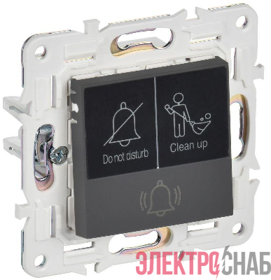 Кнопка звонка SKANDY 10А SK-V17G для отелей с индикацией графит IEK SK-V14-2-10-K53